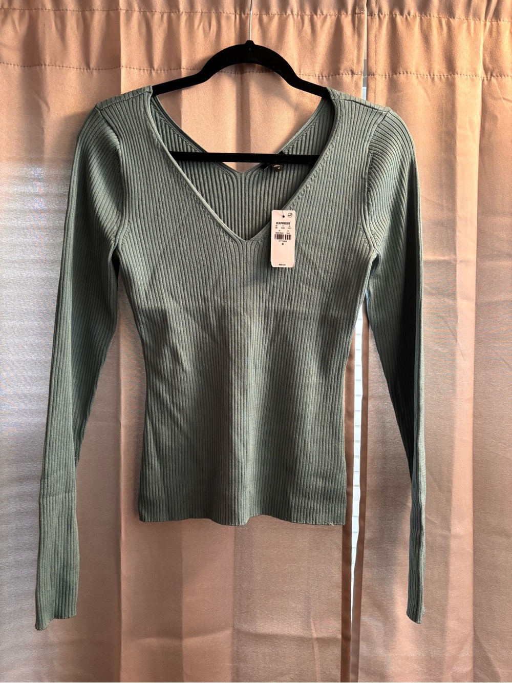Express Ribbed V-Neck Long Sleeve Top in Sage